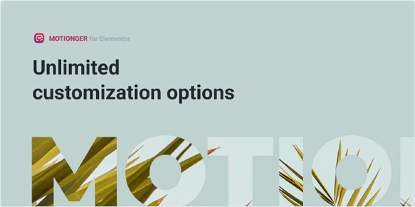 Motionger widget Unlimited customization options